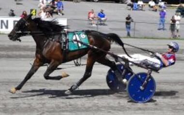 Quincy-Blue-Chip-2-e1558998074984