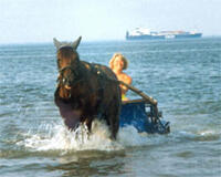 rambo_wasser rambo_wasser