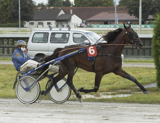 Rapido OK_AA180820Fabris Rapido OK_AA180820Fabris