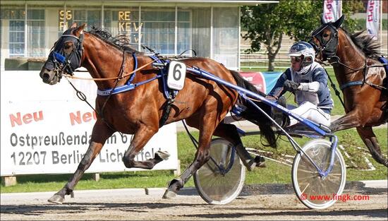 Robbin Bot und Cunningham Robbin Bot und Cunningham