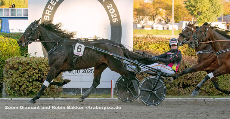 Robin Bakker und Zoom Diamant