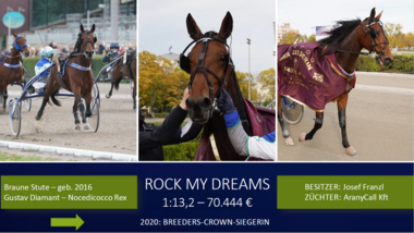 Rock my Dreams Rock my Dreams