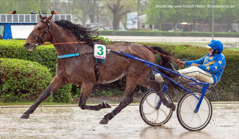 Rudolf Haller und Sheldrake
