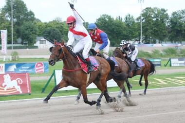 Safari Dream gewinnt das Monté-Derby
