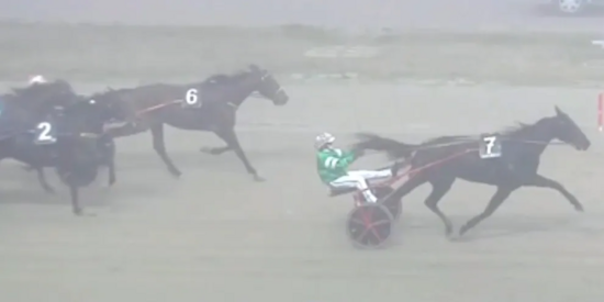 Screenshot 2021-11-22 at 15-17-32 Blackflash li manda al Bar