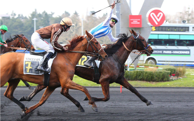 Screenshot 2022-03-06 at 10-58-14 Hippisme Granvillaise bleue remporte son premier Groupe I tout comme Clément Duvaldestin 