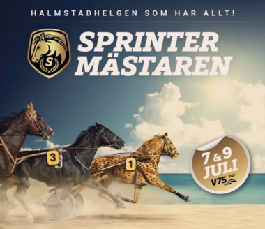 Screenshot 2022-06-28 at 13-17-31 HalmstadTravet (@halmstadtravbana) • Instagram-Fotos und -Videos