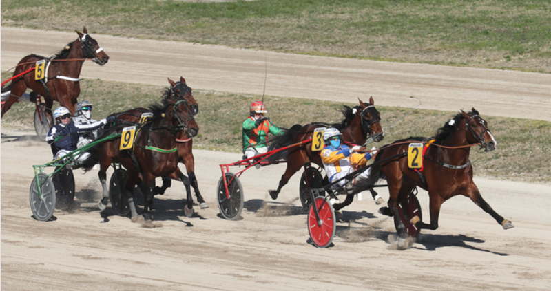 Screenshot 2023-03-13 at 11-51-25 Gran Premio Padovanelle – Google Suche