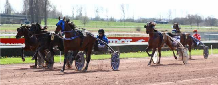 Screenshot 2023-03-17 at 09-34-43 Prix de Cauvicourt – Google Suche