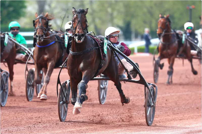 Screenshot 2023-04-23 at 08-09-31 Prix de Tonnac-Villeneuve Just A Gigolo en solo