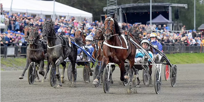 Screenshot 2023-08-27 at 10-02-53 Sundsvall Open Trot – Google Suche