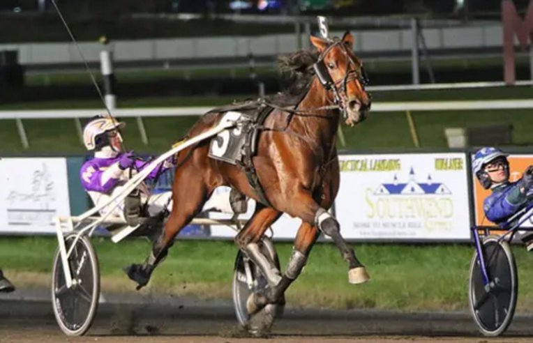 Screenshot 2023-11-05 at 15-34-16 Kindergarten Classic Trot sambuca hanover – Google Suche