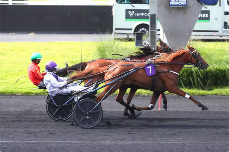 Screenshot 2024-06-09 at 09-22-03 Samedi à Vincennes - Prix Guy le Gonidec Kelle Beauté sur le fil