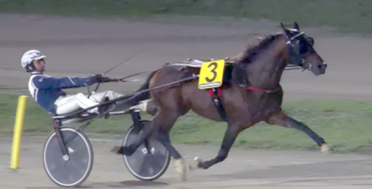 Screenshot 2024-10-28 at 09-27-47 Always Ek imponerede som vinder af Gran Premio dele Nazioni TRAVSERVICE