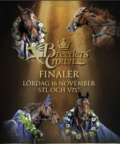 Screenshot 2024-11-17 at 07-55-17 Breeders Crown-finaler og V75-spil TRAVSERVICE