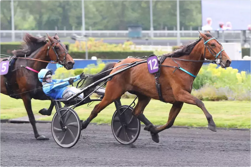Screenshot 2025-06-07 at 17-00-26 Samedi à Vincennes - Prix Guy Le Gonidec (Gr. 2) Liberté de Choisel décroche le plus beau succès de sa carriè...