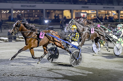 Screenshot 2025-11-10 at 17-35-25 Lunden søndag Flot sport men kun to danske vindere! TRAVSERVICE