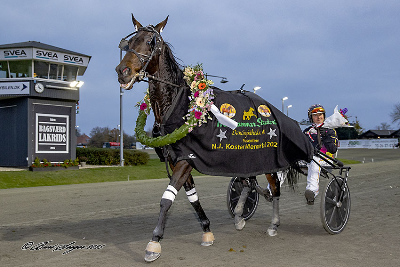 Screenshot 2025-11-10 at 17-35-33 Lunden søndag Flot sport men kun to danske vindere! TRAVSERVICE