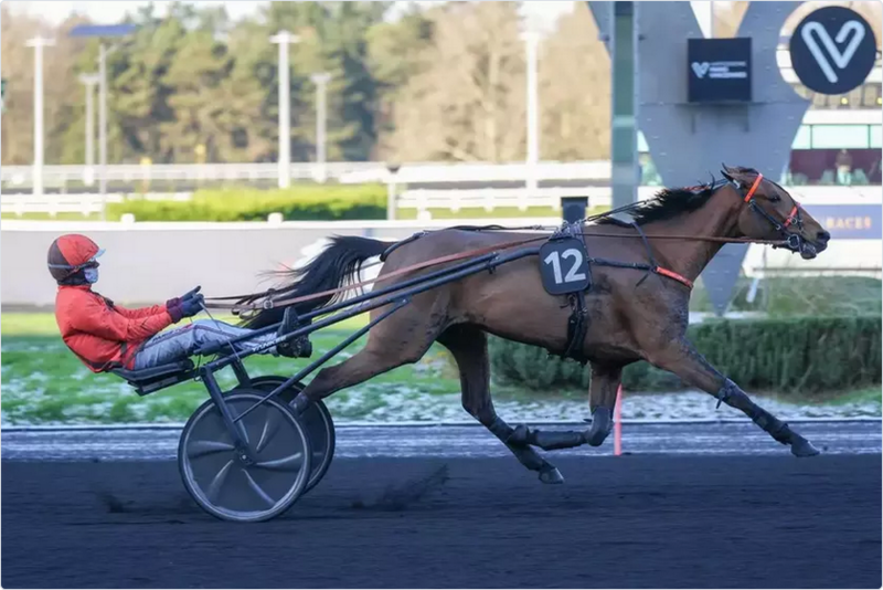 Screenshot 2026-01-04 at 15-41-27 Dimanche à Vincennes - Prix Gélinotte (Gr. 2) Nocive du Choquel double la mise Equidia