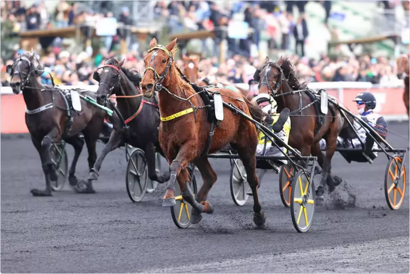 Screenshot 2026-01-12 at 12-05-43 Quinté Prix de Belgique – Amérique Races Q6 - Quinté Iroise de la Noé conserve son titre Equidia