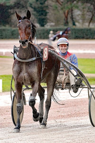 Screenshot 2026-03-16 at 08-41-28 Aus dem Winterschlaf erwacht - Hamburger Trab-Zentrum e.V