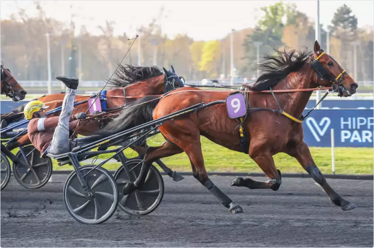 Screenshot 2026-03-21 at 20-49-53 Prix du Bois de Vincennes Ino du Lupin est le plus fort Equidia