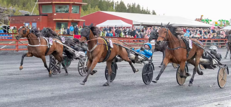 Screenshot 2026-05-17 at 09-31-51 Riverdale Z. storskrällde på V85 – efter stor dramatik