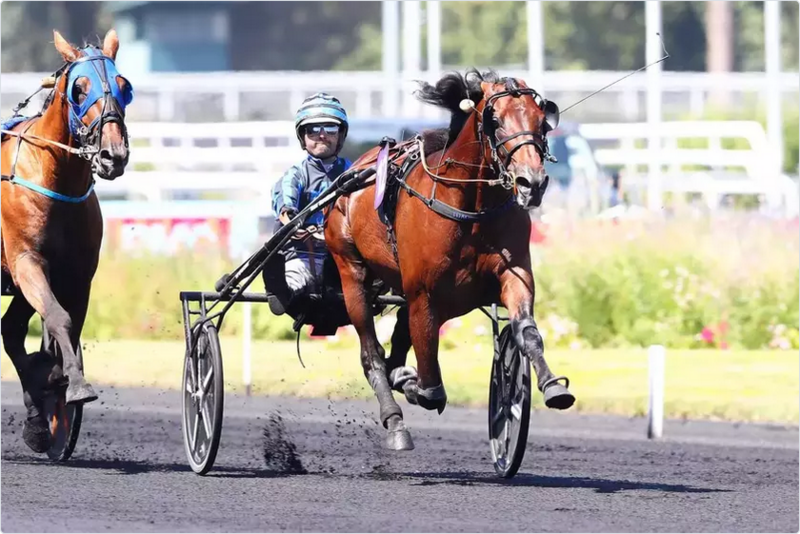 Screenshot 2026-06-21 at 21-00-00 Dimanche à Vincennes - Prix René Ballière UET Elite Circuit #10 Idao de Tillard en patron Equidia