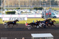 Screenshot_2019-02-25 GENYcourses - PMU, Quinté, Tiercé Résultats et pronostics des courses
