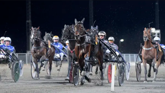 Screenshot_2020-11-09 breeders crown hail mary – Google Suche