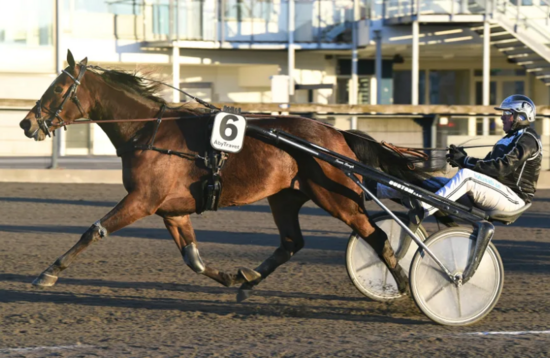 Screenshot_2021-04-24 Drottning Silvias Pokal – lopp för lopp