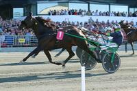 Sieger Ringostarr Treb Sieger Ringostarr Treb