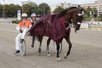 Siegerin Goldy Stardust Siegerin Goldy Stardust