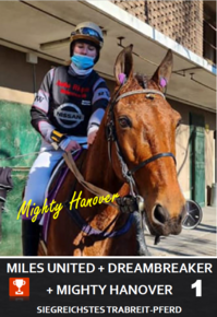 Siegreichstes Pferd Siegreichstes Pferd