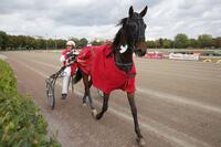 Sioegerin Escada Sioegerin Escada