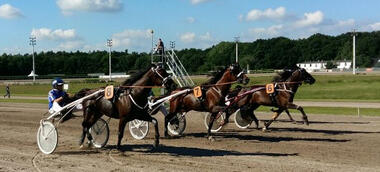 Start Finale DAM 2017