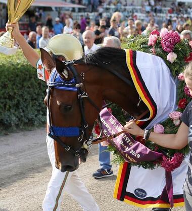 Stutenderby Stutenderby