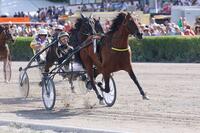 Super Trot Super Trot