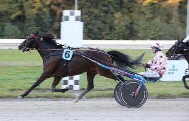 Swedishman gewinnt den Grand Prix de Gelsenkirchen