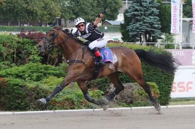 Tano Bork gewinnt das Monte-Derby 2016