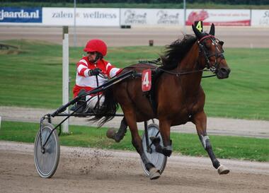 Thomas Royer gewinnt EM-Lauf 1 in Wolvega
