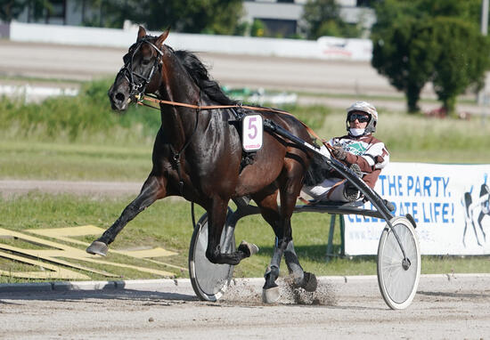 Thorsten Tietz und Halva von Haithabu Foto Marius Schwarz Thorsten Tietz und Halva von Haithabu Foto Marius Schwarz