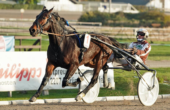 Thorsten Tietz und Purple Rain Foto Marius Schwarz Thorsten Tietz und Purple Rain Foto Marius Schwarz