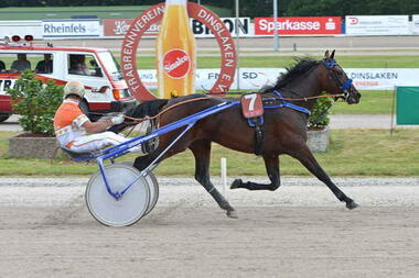 TomNJerry Diamant siegt im Buddenbrock-Trial 1