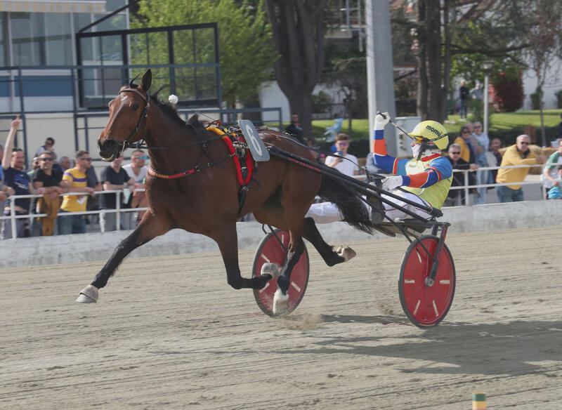 Torino-filly23a-scaled