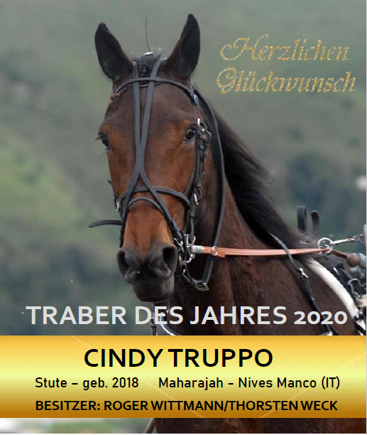 Traber des Jahres 2020 Cindy Truppo Traber des Jahres 2020 Cindy Truppo