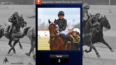 Trabreit-Pferd 03.2019 Trabreit-Pferd 03.2019