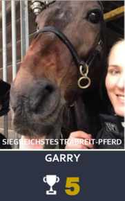 Trabreitpferd Trabreitpferd