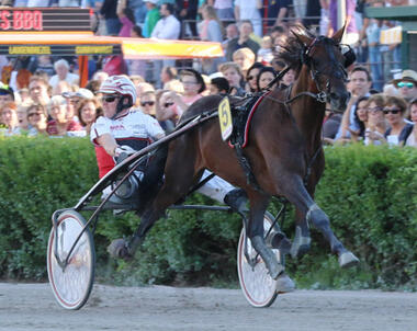 Tsunami Diamant - Derbysieger 2017