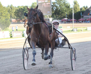 Tsunami Diamant gewinnt das Derby 2017